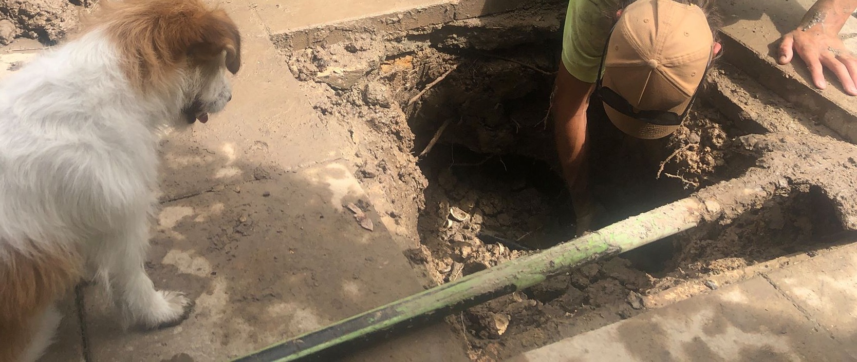 A K&K Taylor Plumbing plumber head down in a dug-out hole in a backyard, with a dog watching from the path
